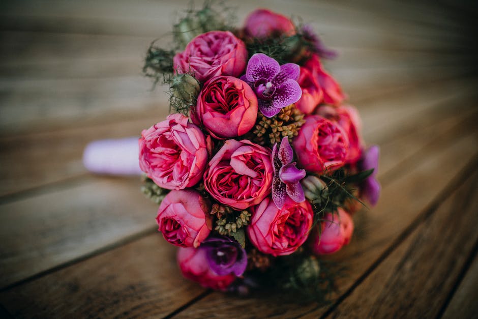 Welche Pflanzen Passen nicht zu Rosen? - pflanzenbereich.de